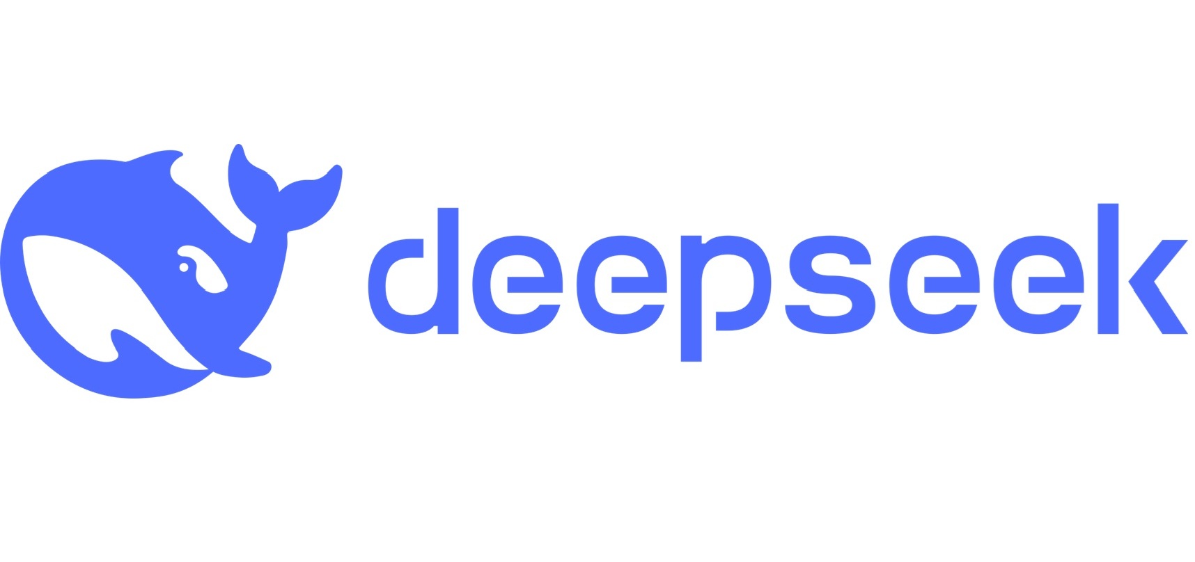 Deepseek logo large