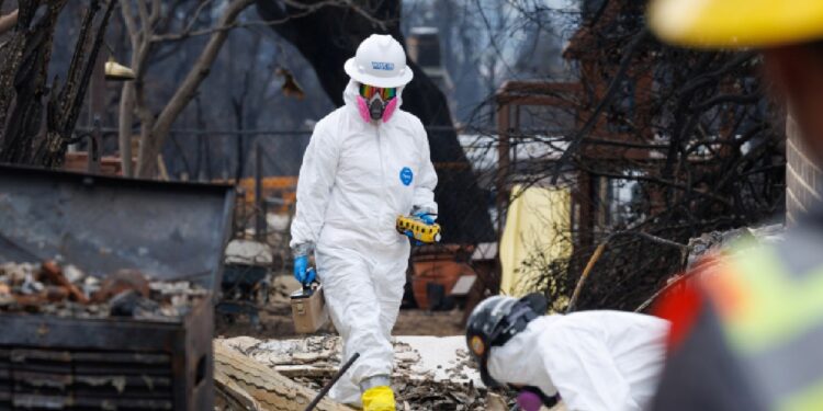 Environmental workers race to clear toxic debris left by LA fires, World News