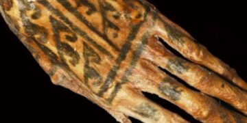Research Roundup: 7 cool science stories we almost missed