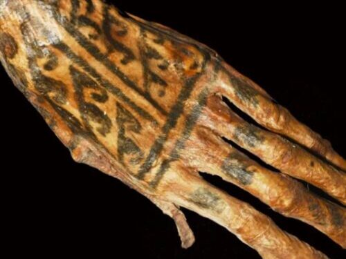 Research Roundup: 7 cool science stories we almost missed
