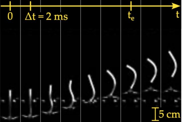 Image sequence of a 100-mm long projectile during a typical ejection in experiments.