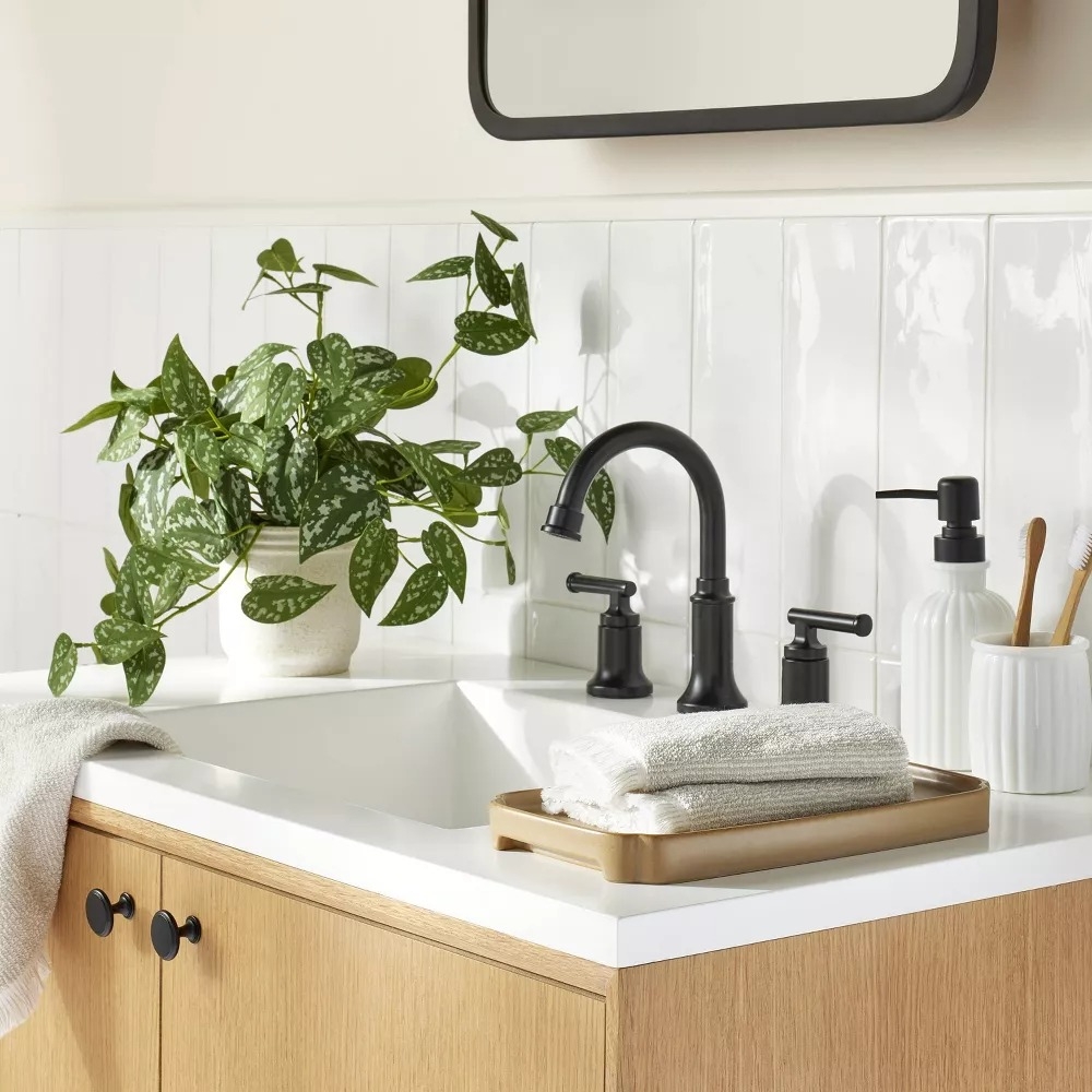 Potted plant on a bathroom sink.
