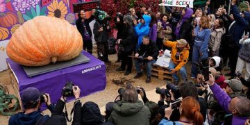 Russian Farmer breaks national record with 969 kilo pumpkin at giant vegetable showdown
